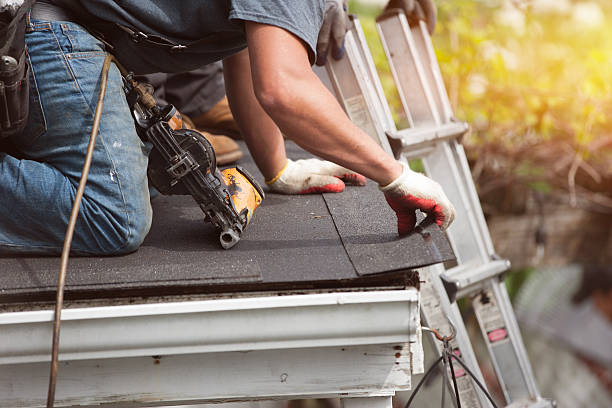Best Roof Gutter Cleaning  in Virginia Gardens, FL